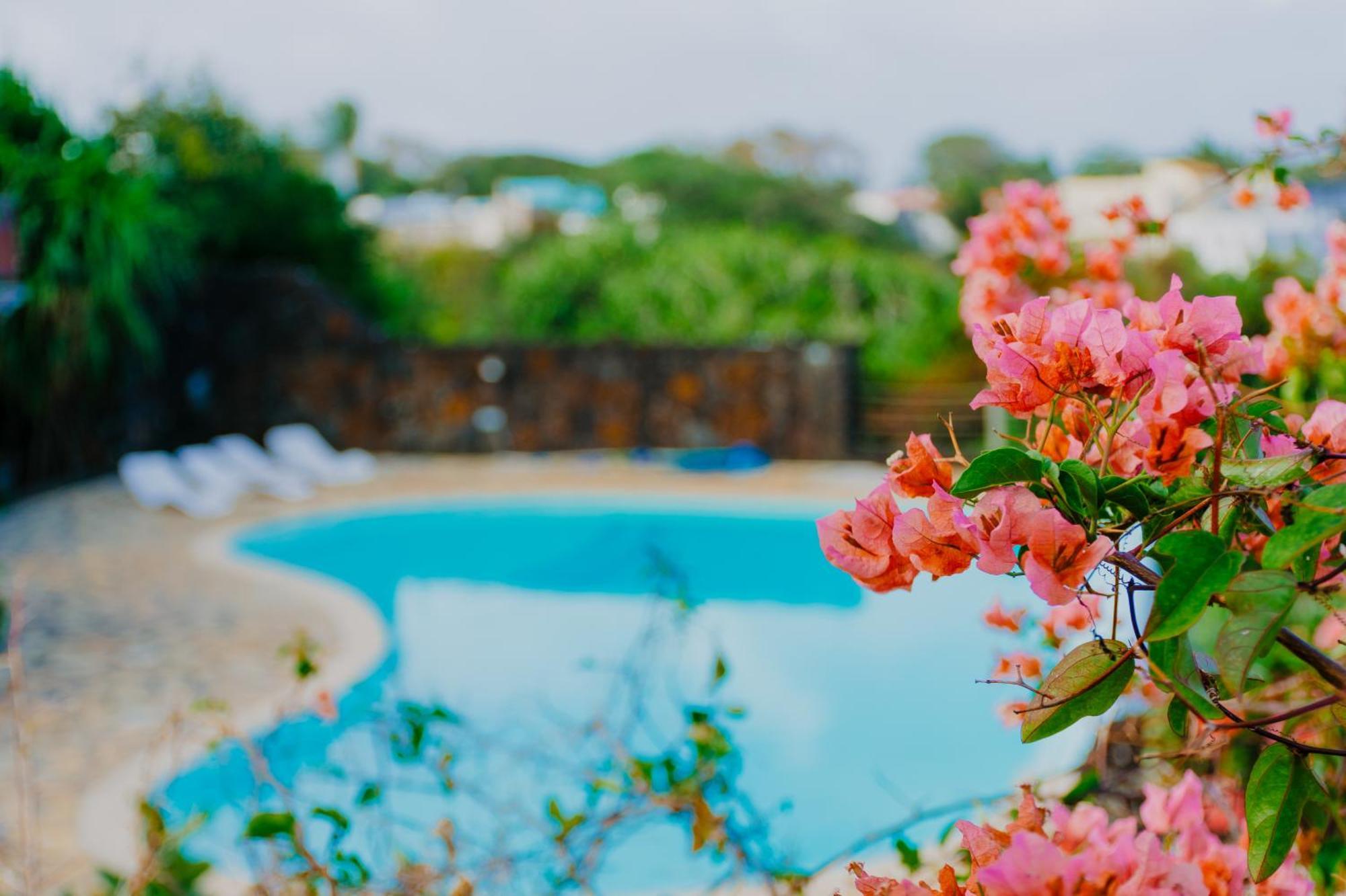 Boutique Villa On The Rocks With Stunning Sea Views, Infinity Pool & Private Sea Trou d'Eau Douce Esterno foto